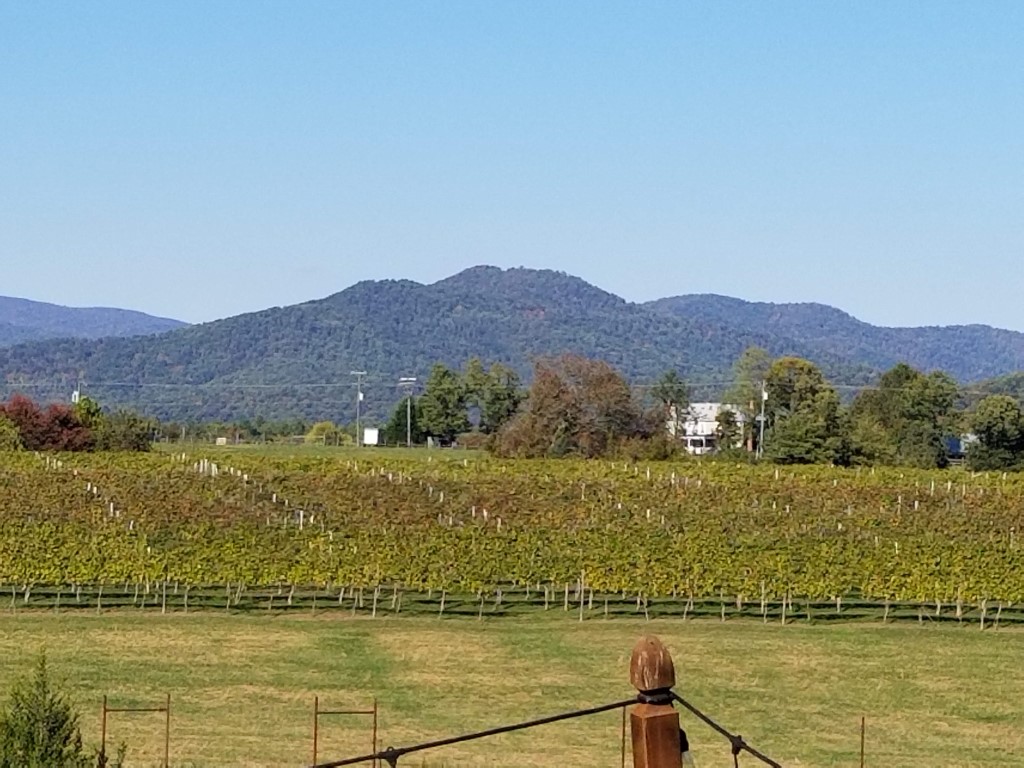 Trip to Visit Virginia Wineries