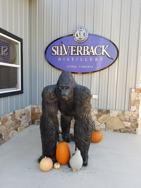 Visiting wineries Silverback